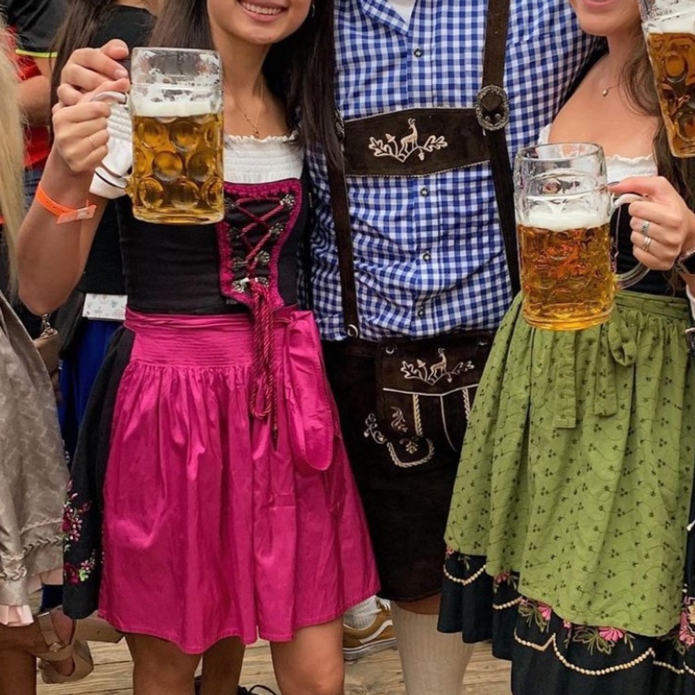 German Dirndl October Fest Dress XS Purple